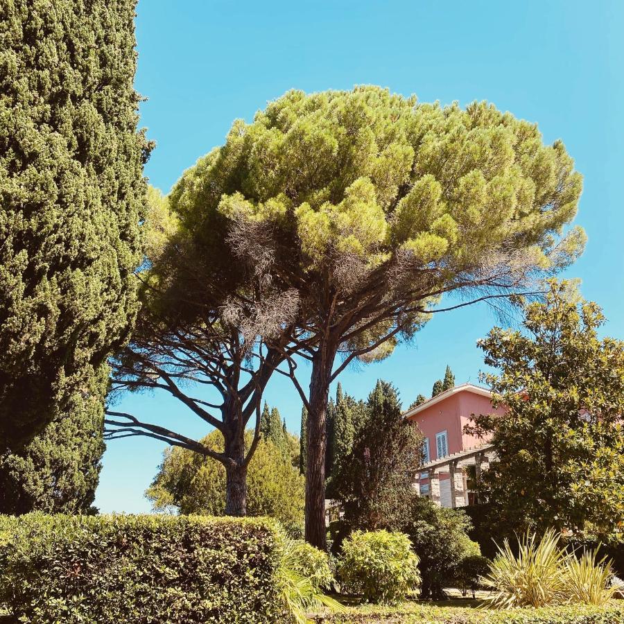Vila Tartini Strunjan Exterior photo